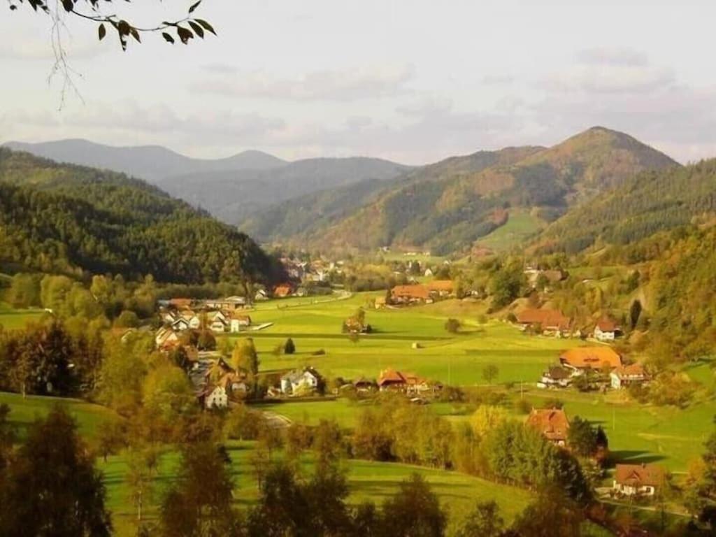 Oberbauernhof - Wohnung "Am Garten" -- Moderne Fewo Im Schoenen Schwarzwaldhaus Gutach Exteriör bild