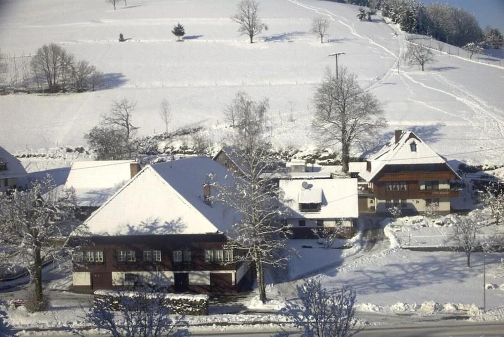 Oberbauernhof - Wohnung "Am Garten" -- Moderne Fewo Im Schoenen Schwarzwaldhaus Gutach Exteriör bild