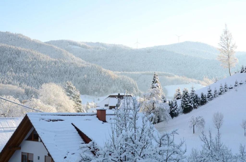 Oberbauernhof - Wohnung "Am Garten" -- Moderne Fewo Im Schoenen Schwarzwaldhaus Gutach Exteriör bild